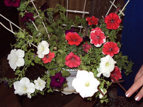 Наталья Подкуйко