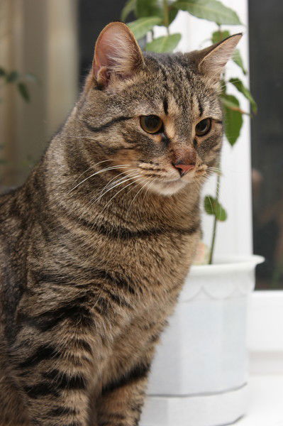 Юлия Луппова