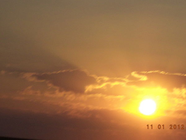 Роман Роман