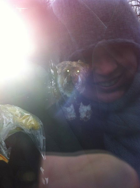 Елена Муравьева