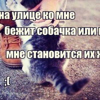 Светлана Аристархова