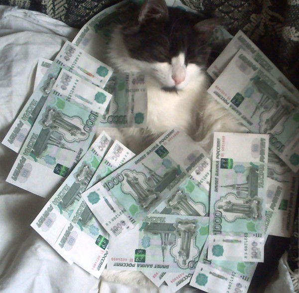 Дима Лоскутов