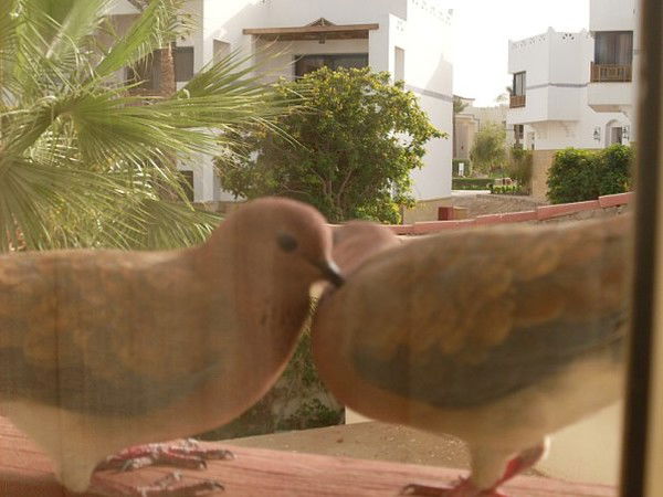 Татьяна Иванова