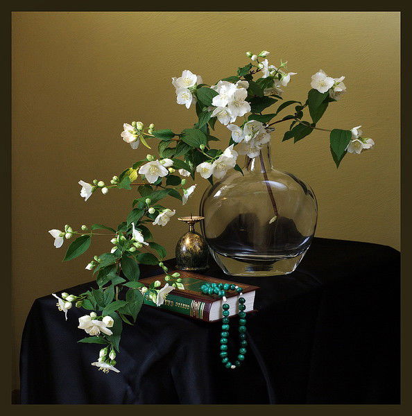 Знатнова Лариса