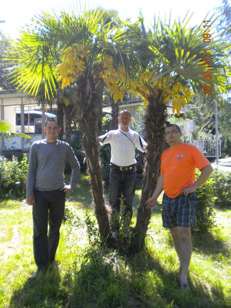 Наиль Сейфутдинов