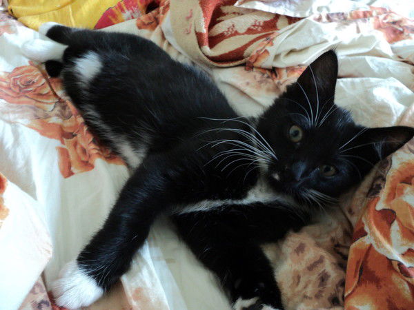 Щербак Игорь