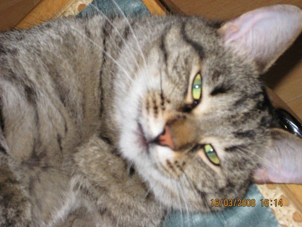 Павел Матосов