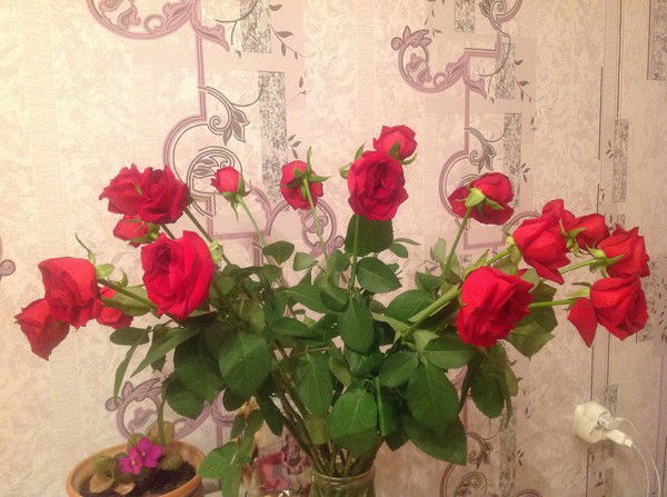 Айнура Жумагалиева