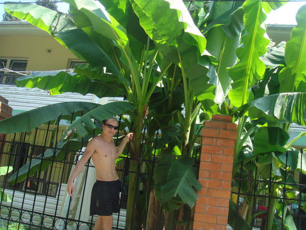 Алексей Подгорнев