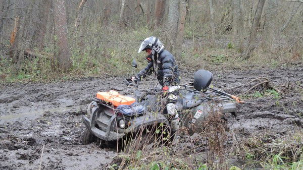 Артём Коляда