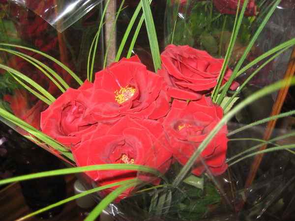 Марина Алексеенко