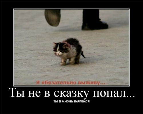 Евгений Барбарович