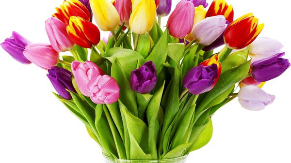 Галина Полторацкая