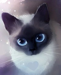 Вика Лапкина