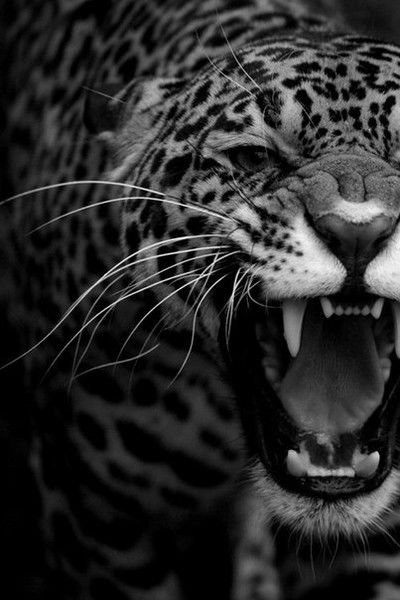 Нодир Набиев