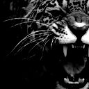 Нодир Набиев