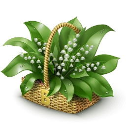 Наталья Ковалёва