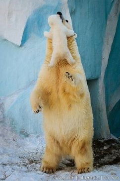 Светлана Метальникова