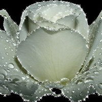 Зауре Зыкеева