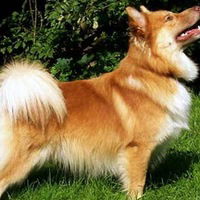 Ольга Пронина