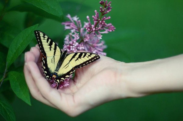 Алинка Малинка