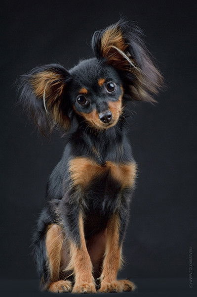 Татьяна Анатольевна