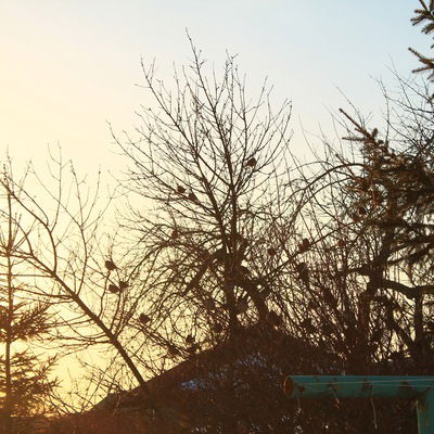 Маргарита Красновская