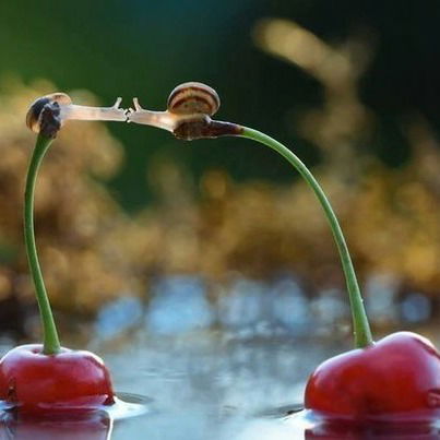 Омарова Айнур