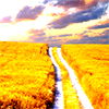 Mls@mail.ru Mls@mail.ru