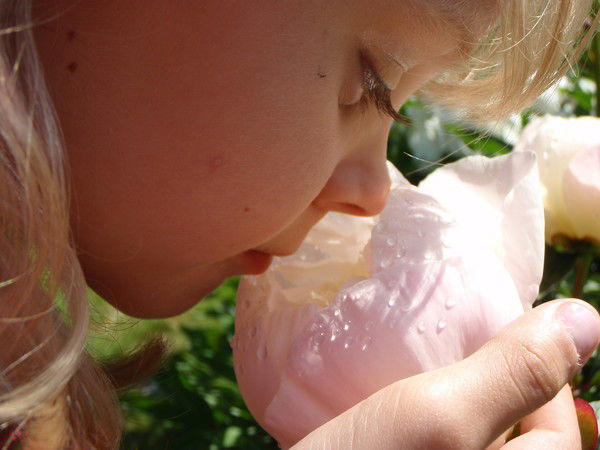 Яна Марьина