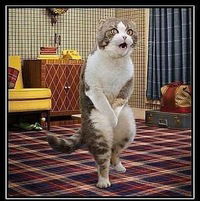 Глеб Васильев