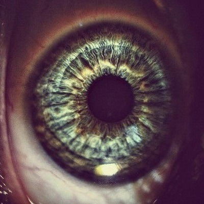 Сергей Баженов