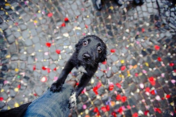 Облачко Счастья