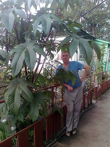 Сергей Дускаев