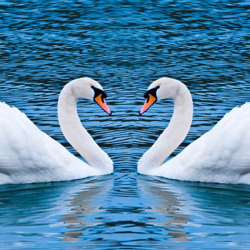 Магазин Строителей