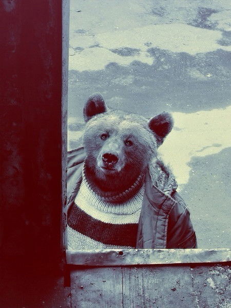 Андрей Онофрийчук