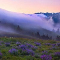 Татьяна Беляева