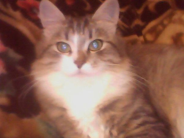 Татьяна Паращин