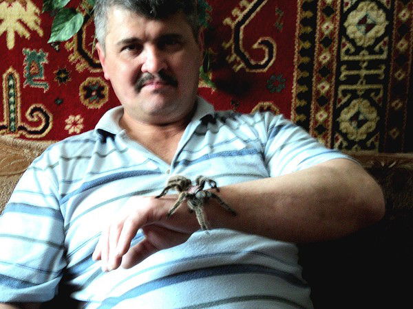 Радик Сулейманов