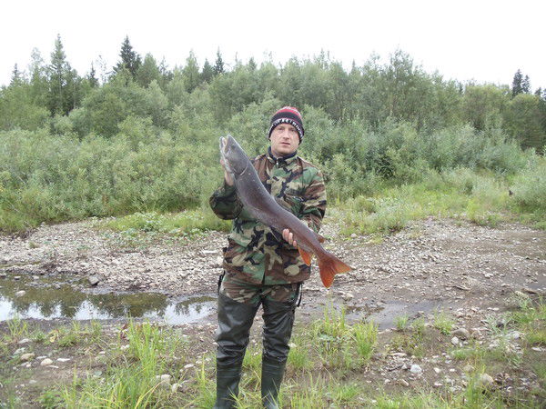 Олег Бачурин