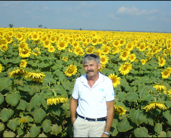 Николай Сёмин