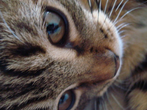 Руслана Геннадьевна