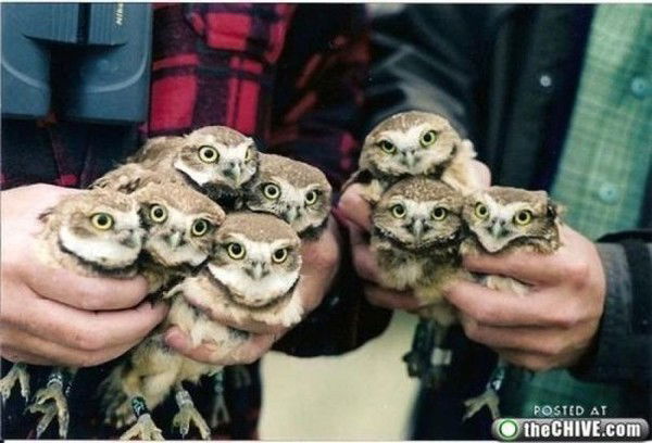 Марина Кожевникова