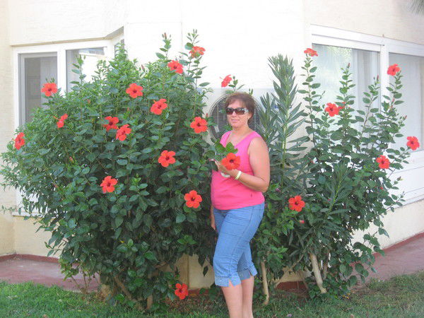 Светлана Я*****