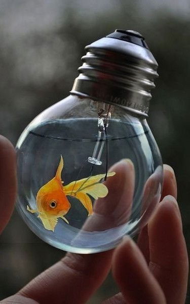 Валентин Борисов