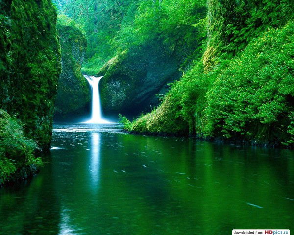 Виктор Максименко