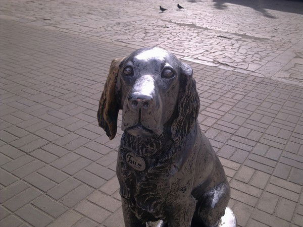 Сергей Загревских