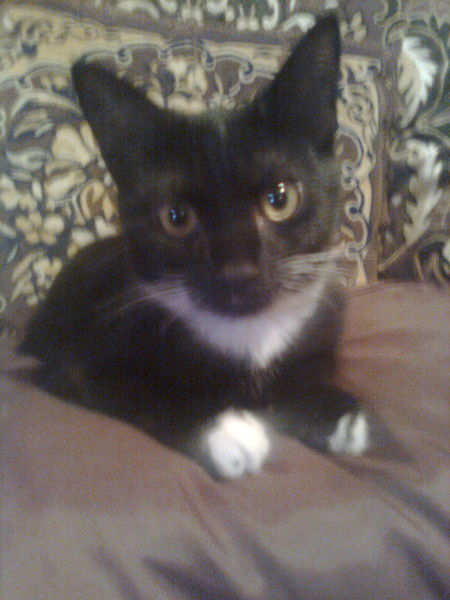 Валерий Зикеев