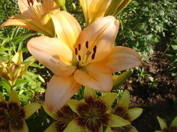 Ольга Мартынюк