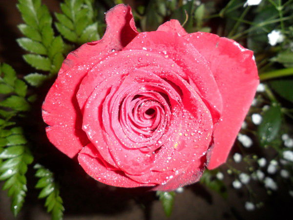 Наталья Вайцнер